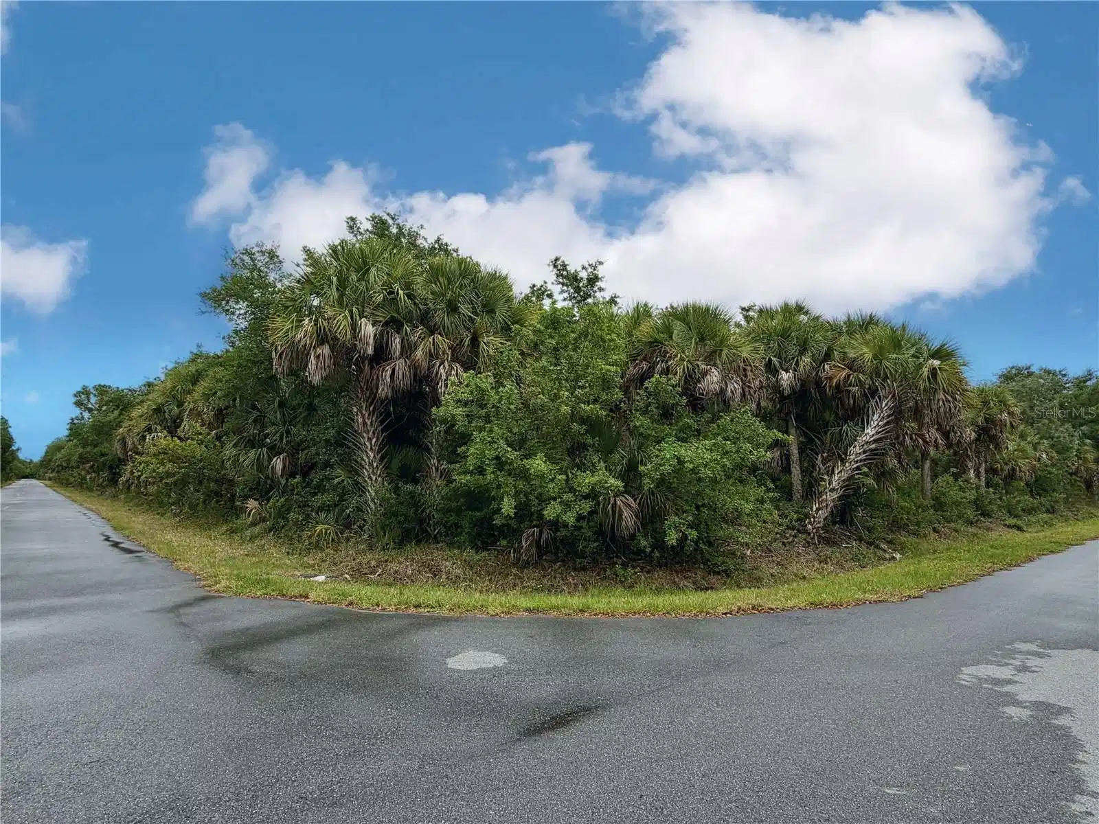 Image 1 Image 1