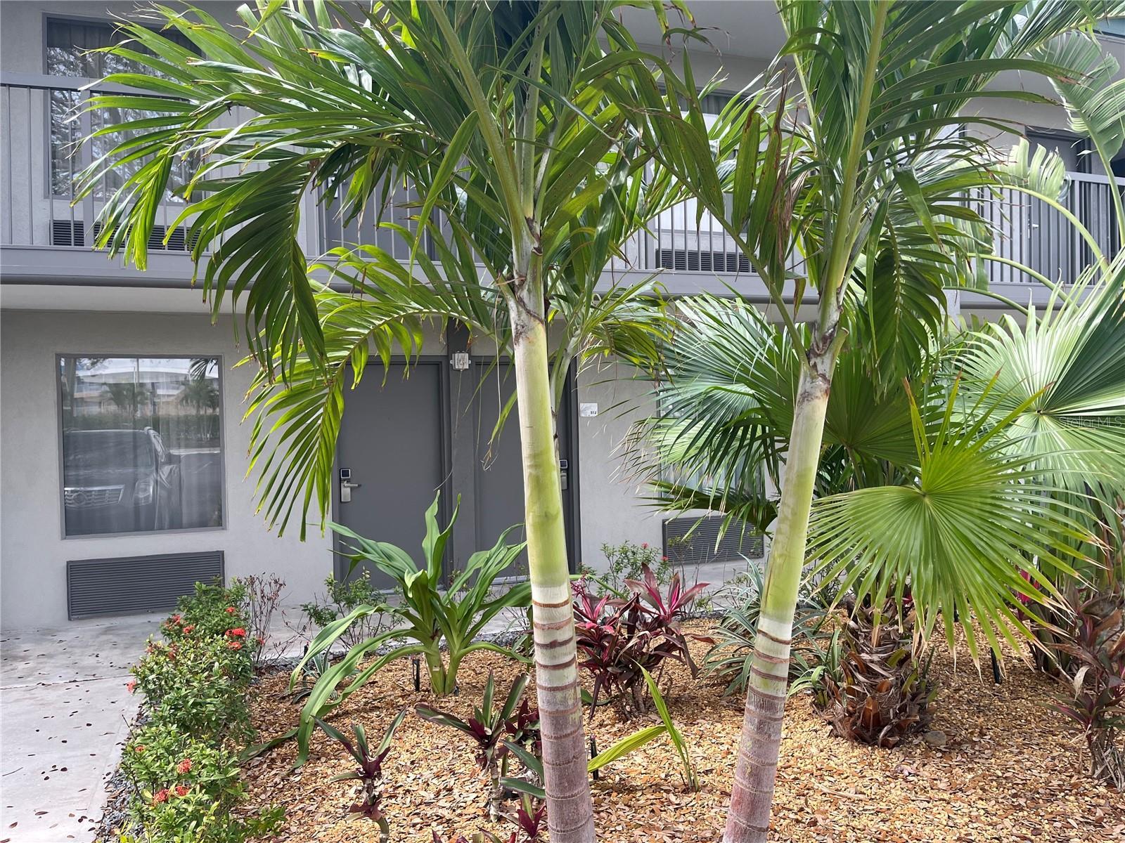 Image 1 Image 1