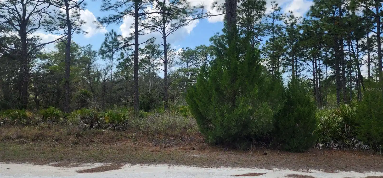 Image 1 Image 1