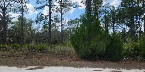 18119 PARROT ROAD
