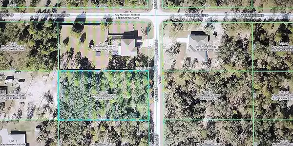Image 4 Image 4