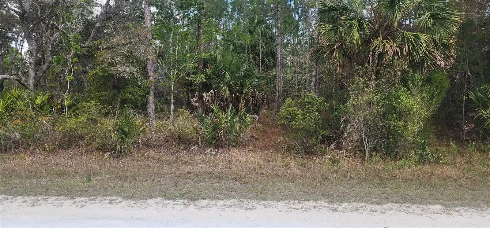 Image 1 Image 1