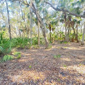 4641 TREE TOP LANE