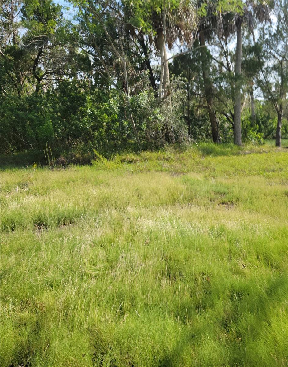 Image 3 Image 3