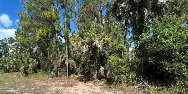Image 3 Image 3