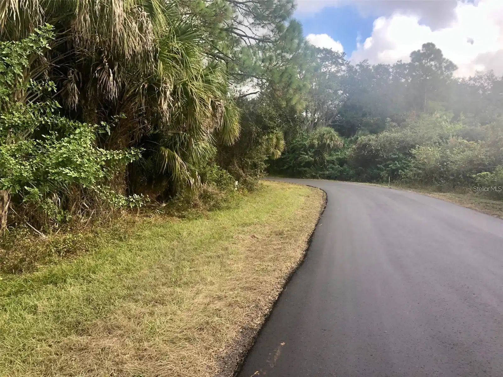Image 1 Image 1