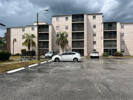 5541 BAY