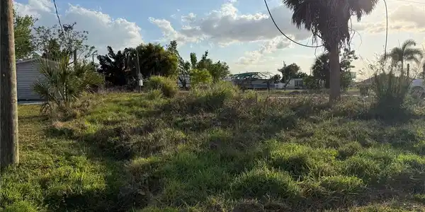 Image 4 Image 4