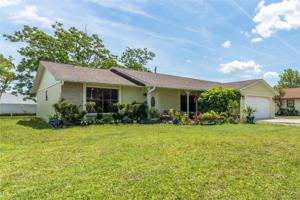 3023 QUEEN PALM