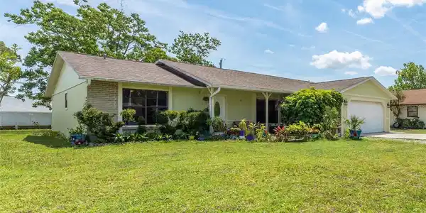 3023 QUEEN PALM