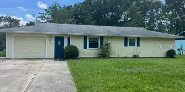 2524 TRAVELERS PALM