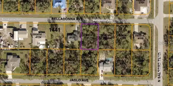 BELLADONNA AVENUE