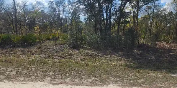 18043 RAMSEY ROAD