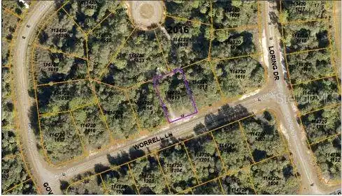 Image 4 Image 4