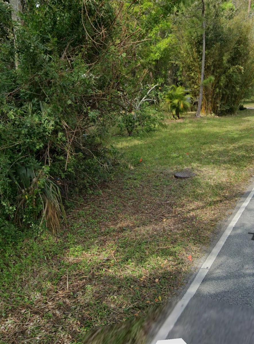 Image 1 Image 1
