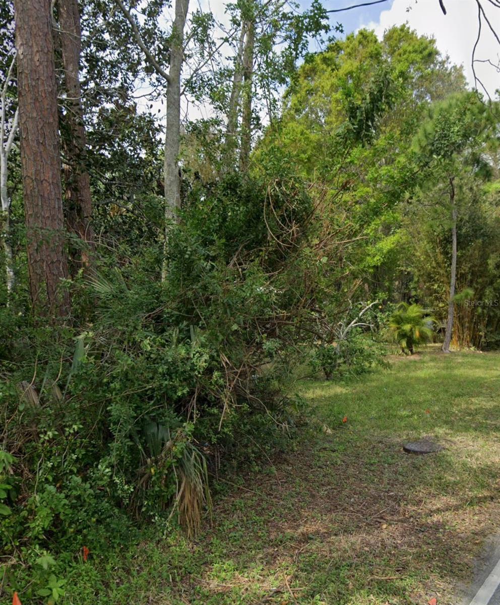 Image 2 Image 2