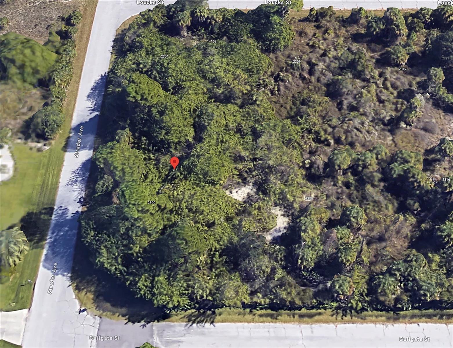 Image 1 Image 1