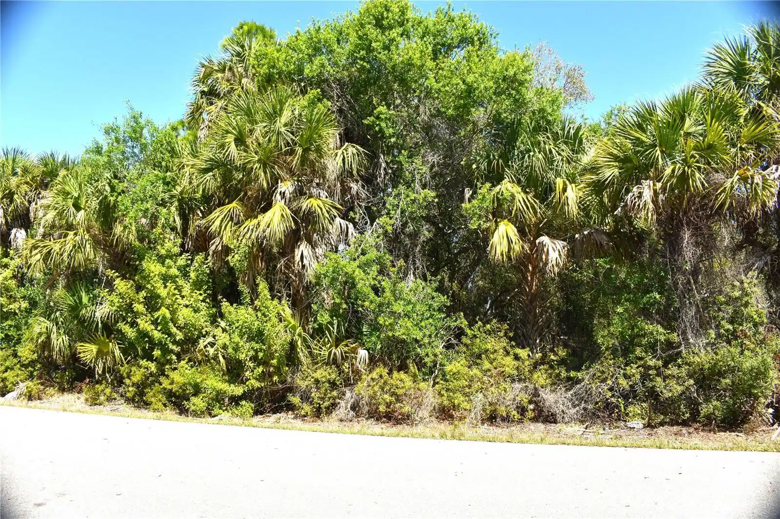 Image 1 Image 1