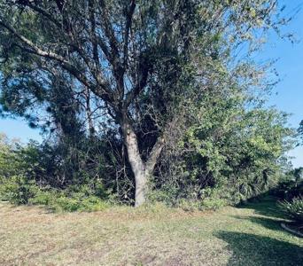 91 EMERALD LAKE DRIVE