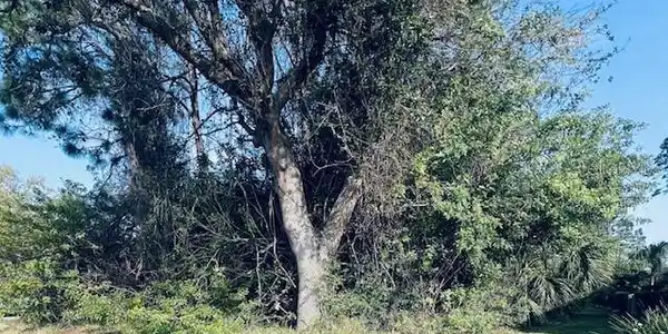 91 EMERALD LAKE DRIVE