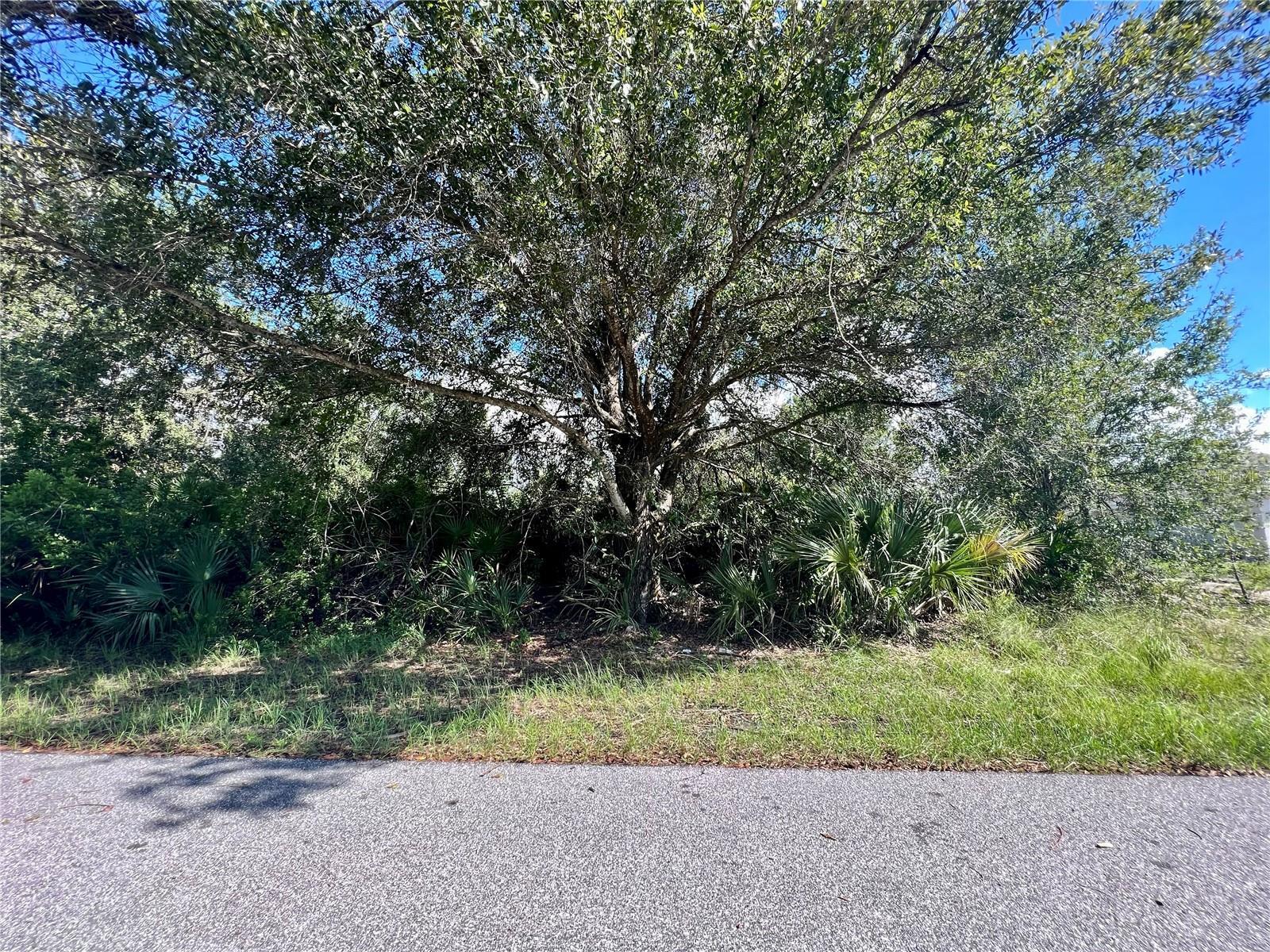 Image 1 Image 1