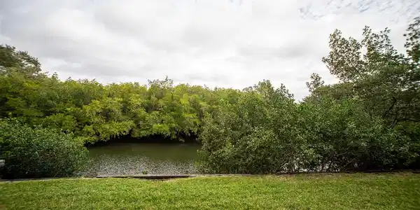 900 COVE CAY DRIVE
