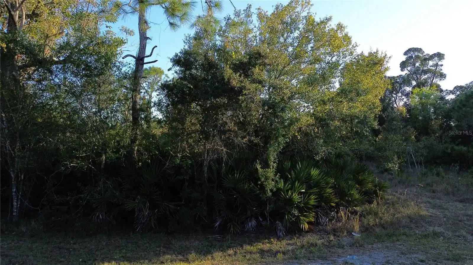 Image 1 Image 1