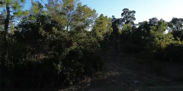 Image 2 Image 2