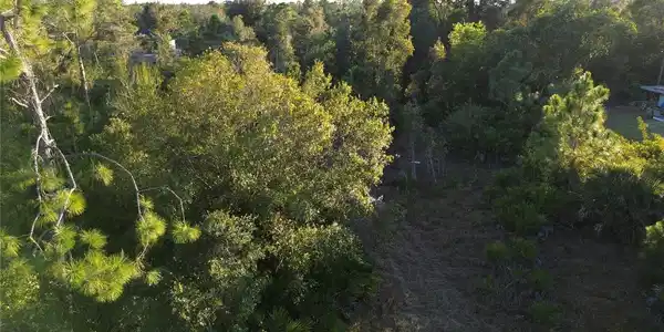 Image 3 Image 3