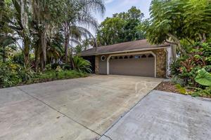 2522 MANGO TREE