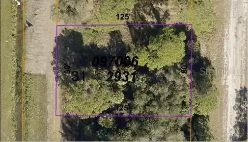 Image 4 Image 4