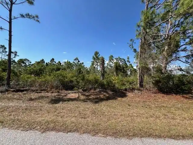 Image 1 Image 1