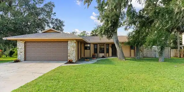 1852 TRAVELERS PALM DRIVE