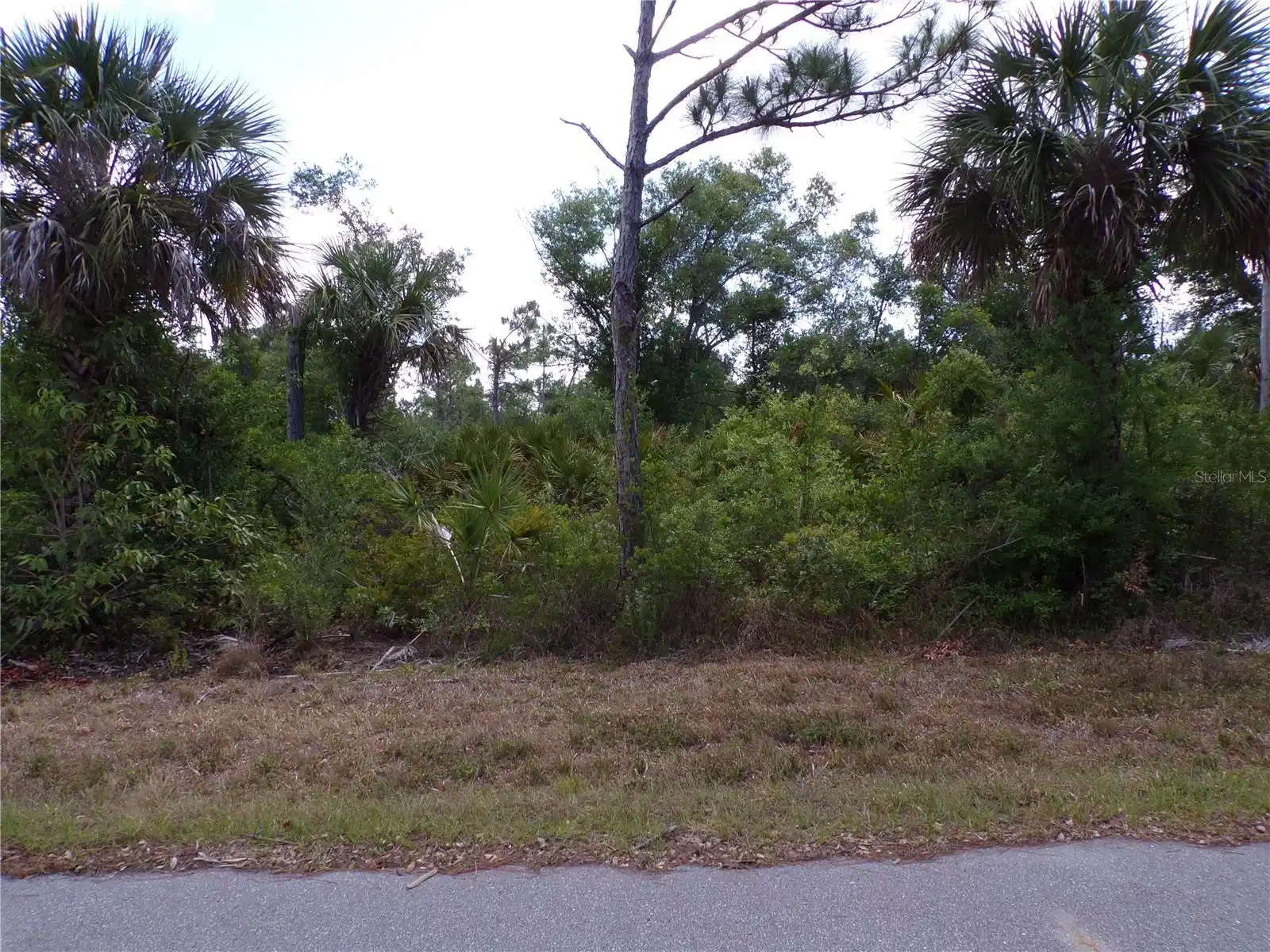 Image 1 Image 1