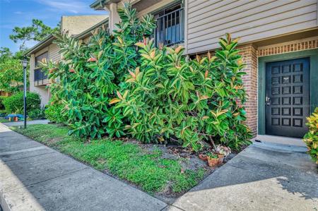 979 SUNRIDGE DRIVE