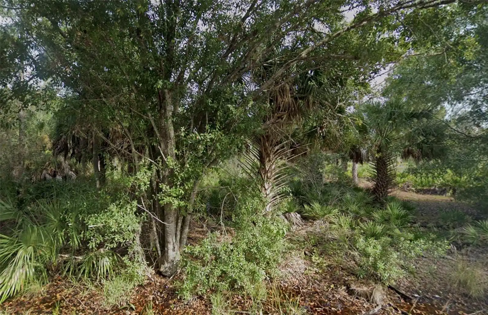 Image 1 Image 1