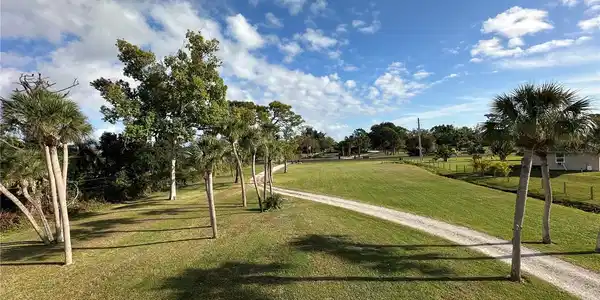 Image 4 Image 4