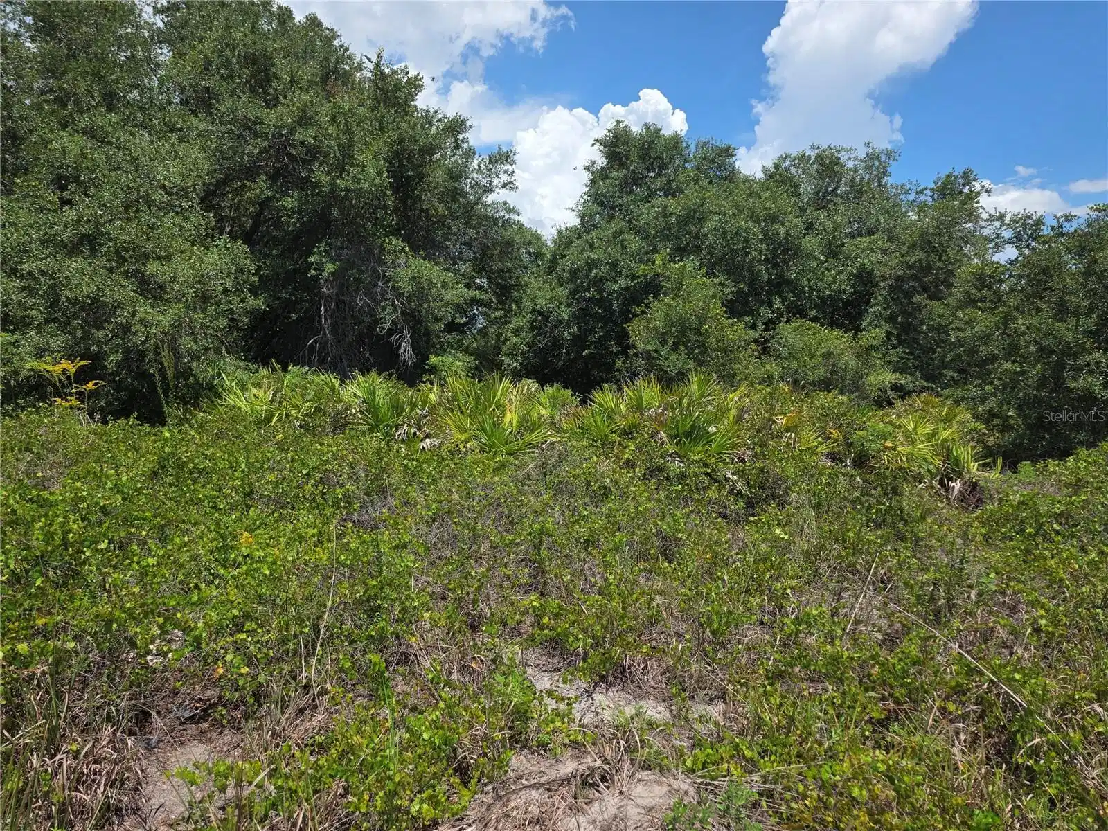 Image 1 Image 1