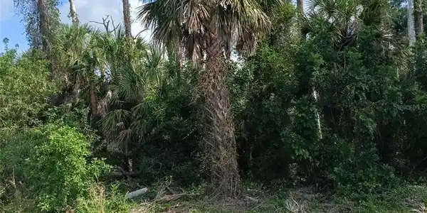 Image 3 Image 3