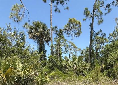 Lot 15 COASTAL STREET