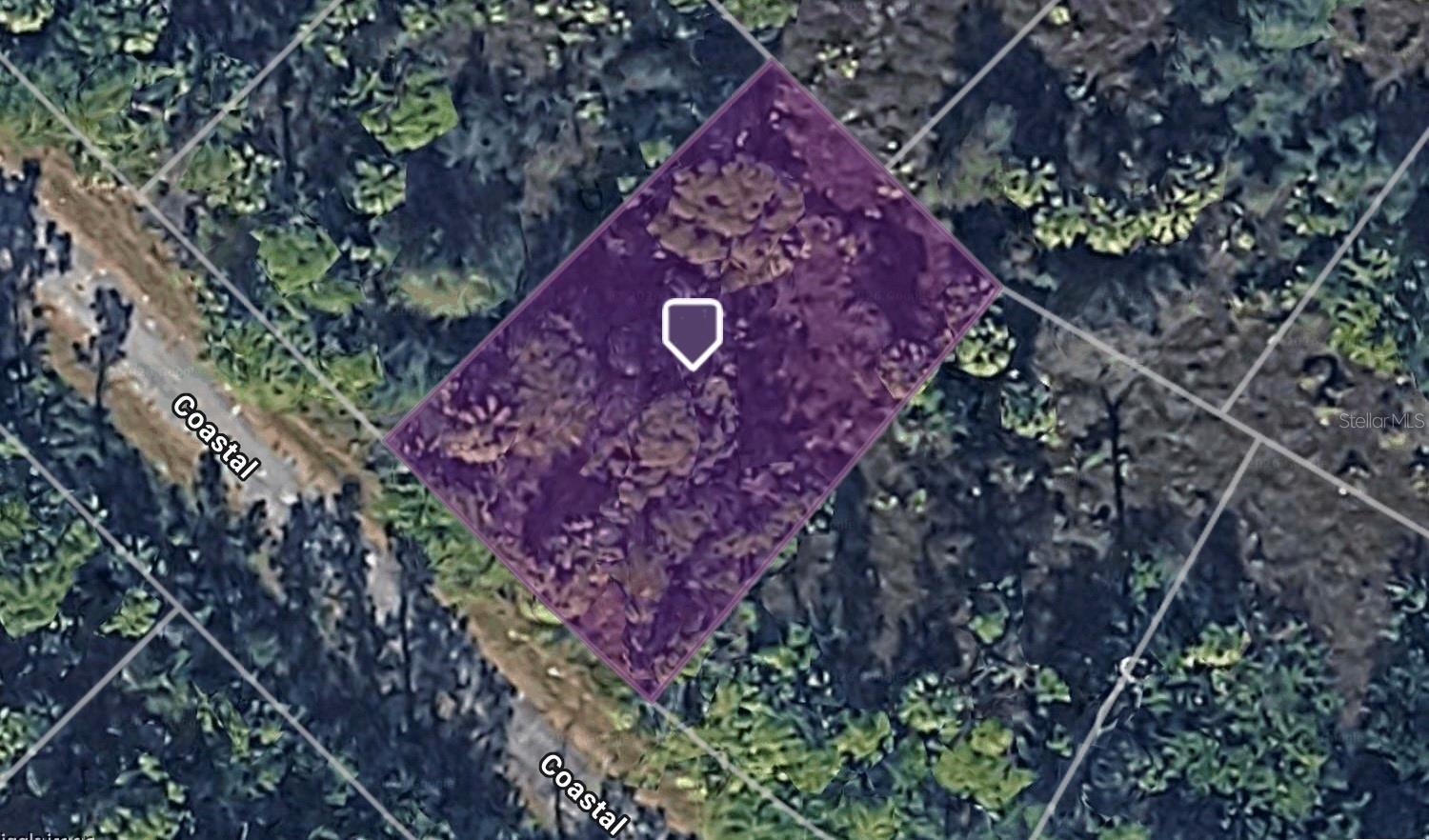 Image 4 Image 4