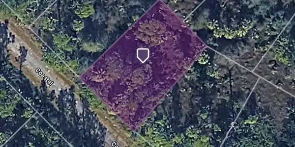 Image 4 Image 4