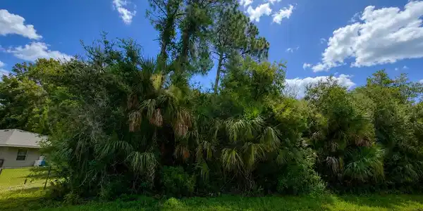 ABELMAN ROAD