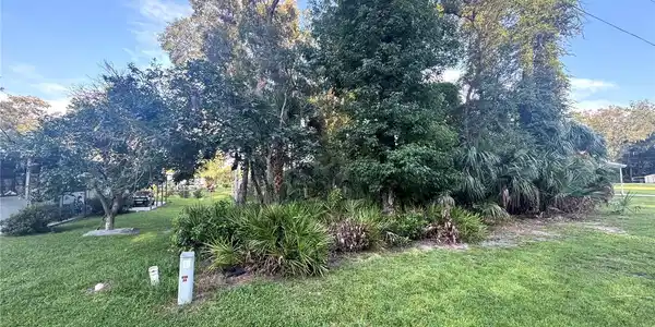 Image 2 Image 2