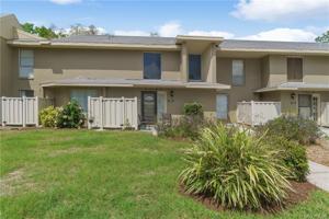 11531 SANDPIPER