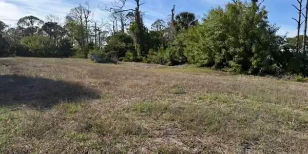 Image 4 Image 4