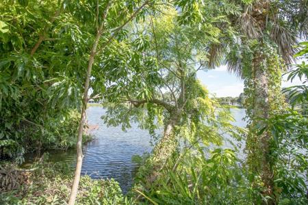 645 PALMETTO DRIVE