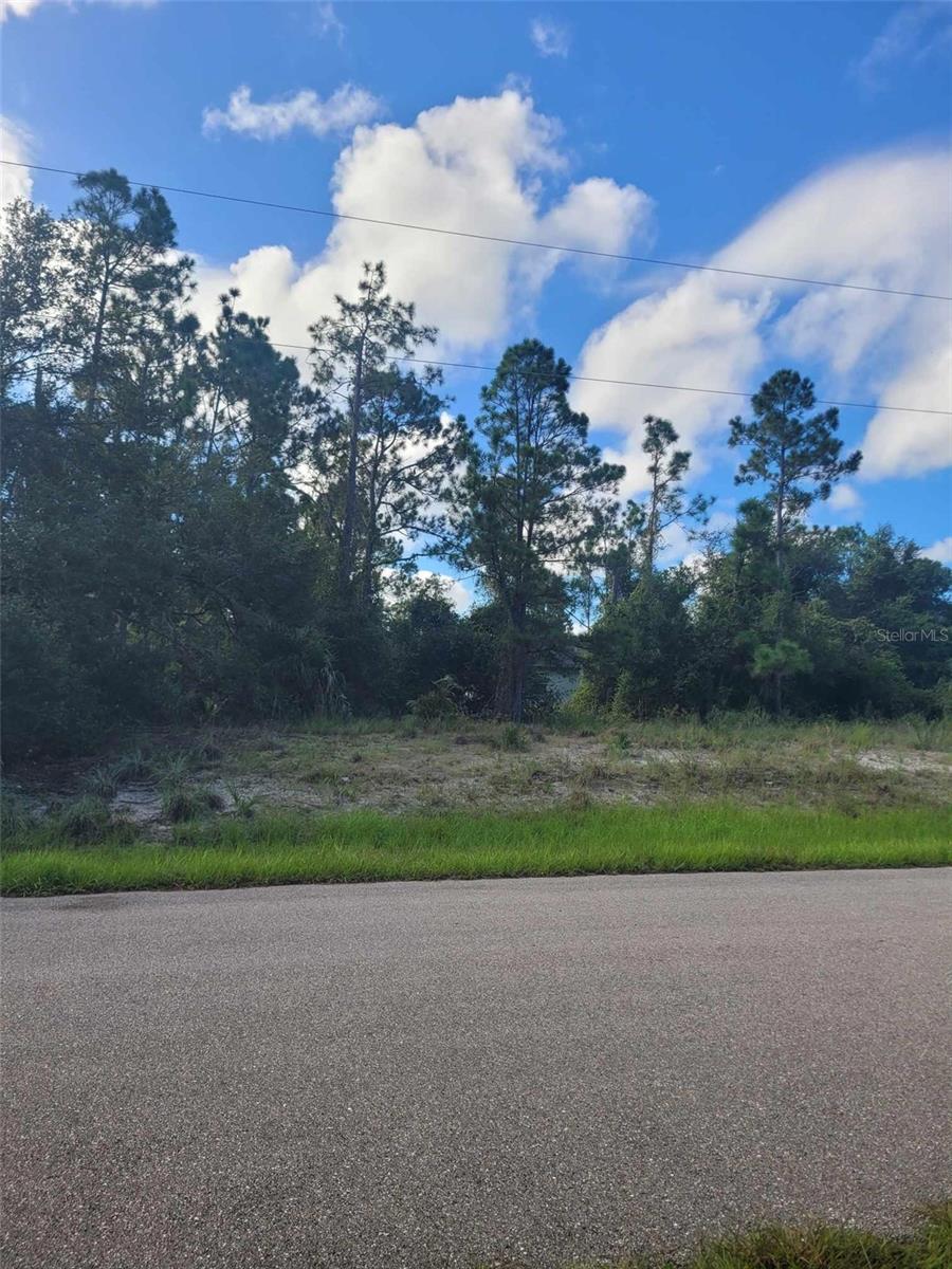Image 1 Image 1