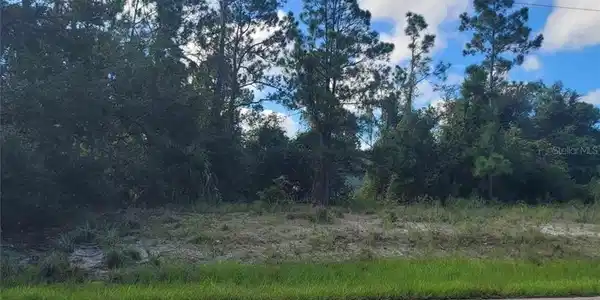 SCENIC ROAD