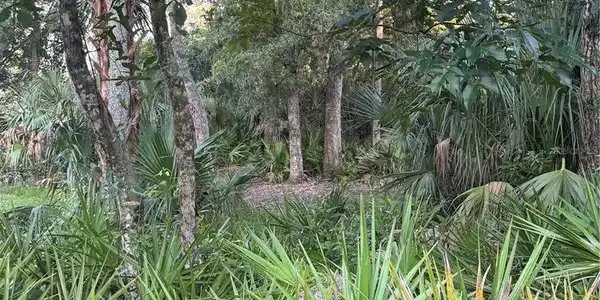 Image 4 Image 4